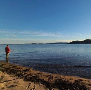 Meet your Posher, Teddy